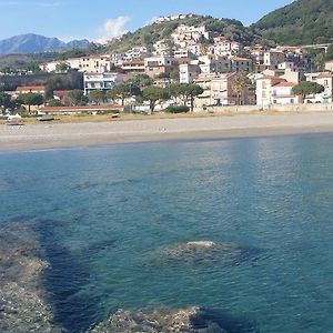 Villa Betta